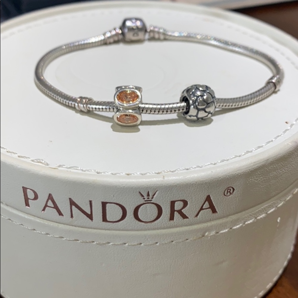 Pandora Bundle